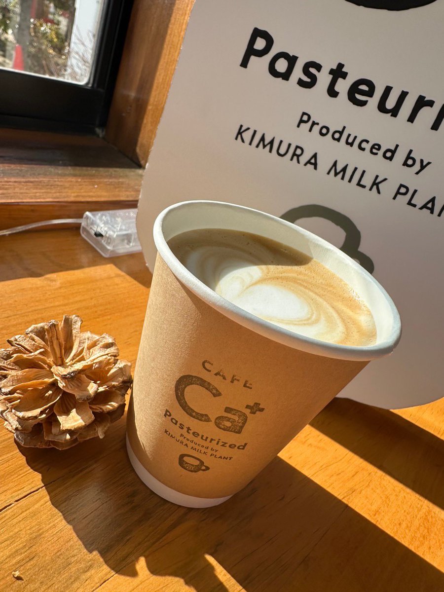 CafeCa+Pasteurized
本日もオープンです🈺🈺🈺

木村牛乳で美味しいランチとゆったりタイムはいかがですか？

木村牛乳をたっぷり使った美味しいごはんがお待ちしております！