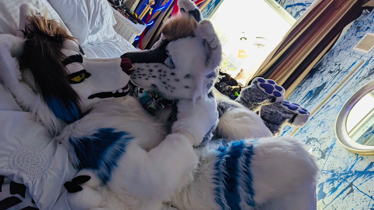 Well, I’ve been seeing this #NationalBoyfriendDay and sense it’s also #FursuitFriday I should post for once, with this fluffy Werewaff 💙💜 <a href="/ClumzyLion/">Clumzy</a>. 

📸<a href="/LionNoms/">🩵✈️It's Cirrus 🛬💛</a>