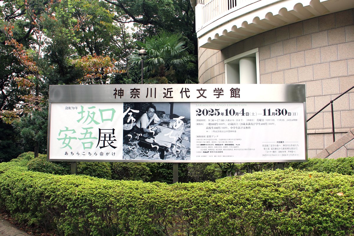 G2YQ8OUacAABsas.jpg?format=jpg