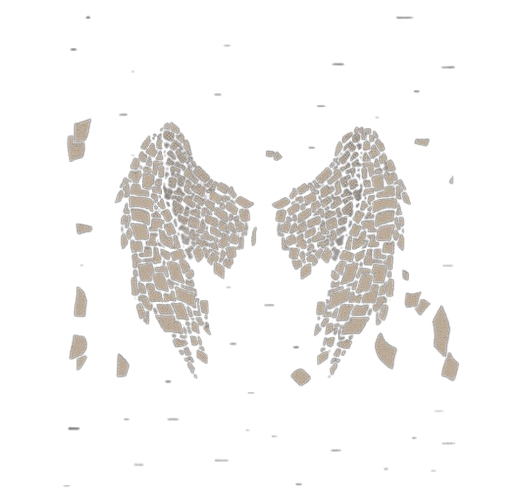 toughtsalot's tweet image. ᅟᅟᅟᅟ‍
𝓘   still  𝖘uffer  from   the   𝓉𝑖𝑚𝑒   I   𝓌as 
arrested  as  an      𓉸 ⠀ 𝙰𝐍𝐈𝖬͟𝖠͟𝓵   with  no
will  .. The   ambition  of  humanityㅤ   will
🅓estroy   all   of   them   one———day.
ᅟᅟᅟᅟ‍