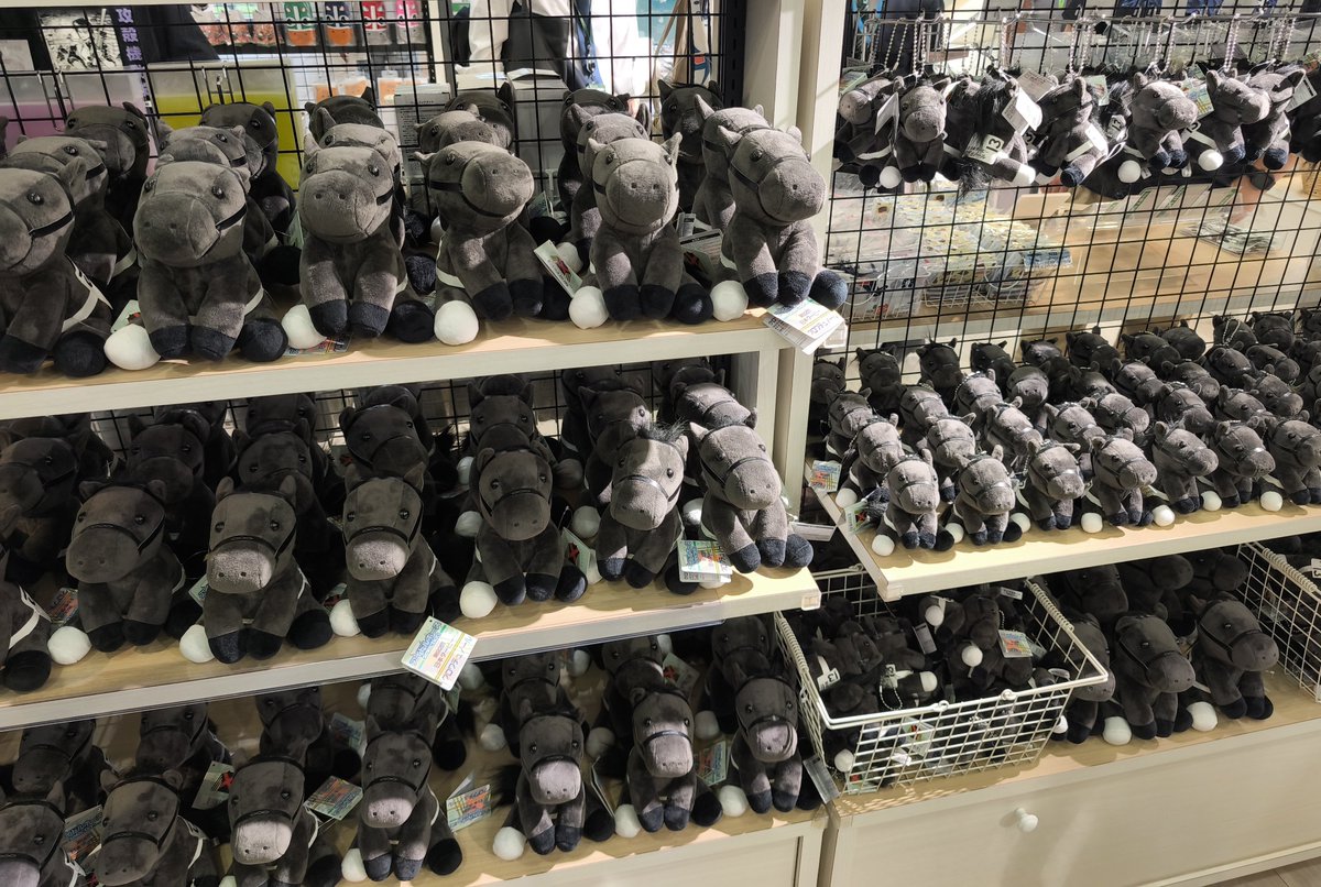 東京競馬場、クロワデュノールぬいぐるみがとんでもない数並んでるwww
