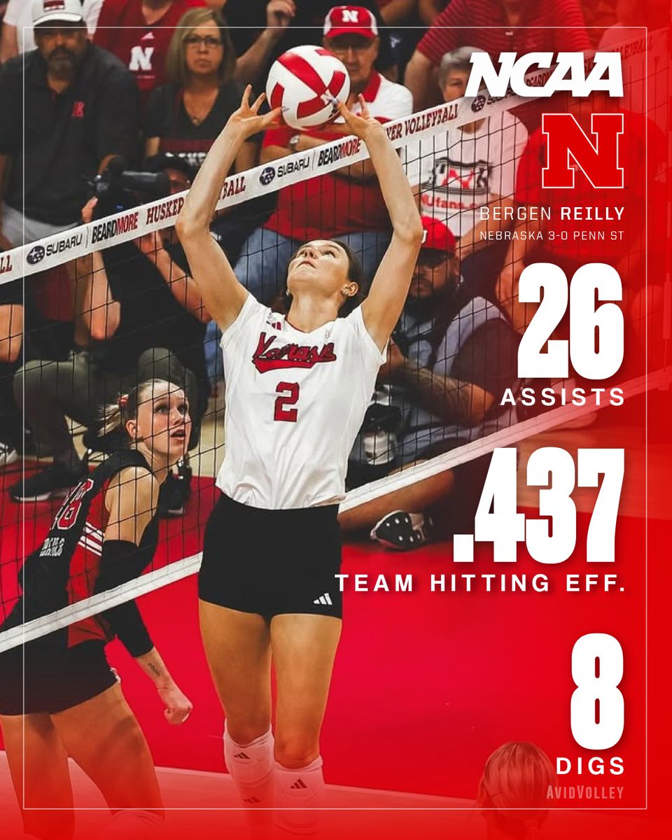 AvidVolley tweet media