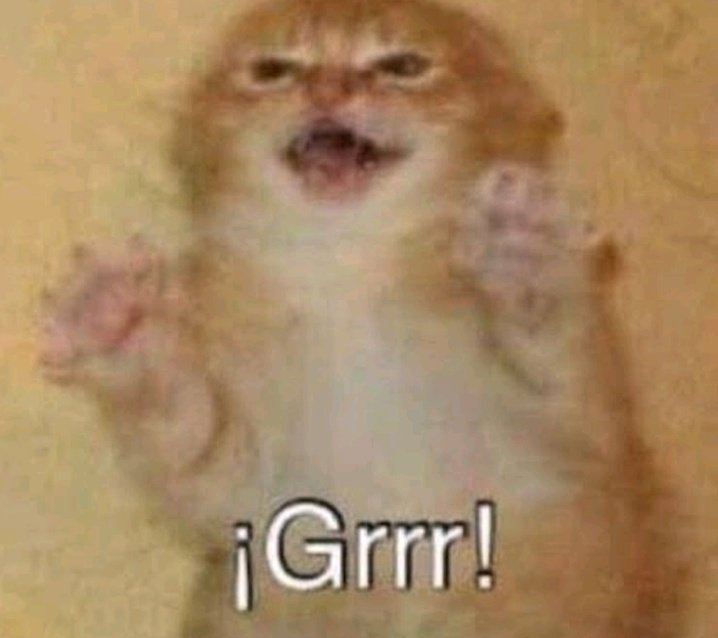 Nyahallo,nos vemos a las 8pm México para charlar y dibujar un rato✨ voy a estar animando