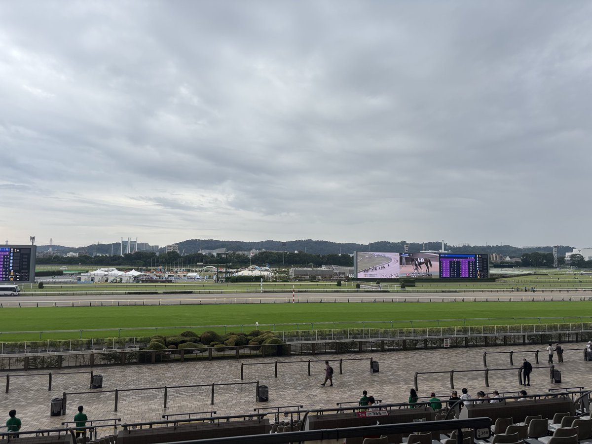 齢40にして初めて来た！