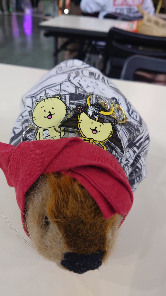 スーパービーバーちゃん