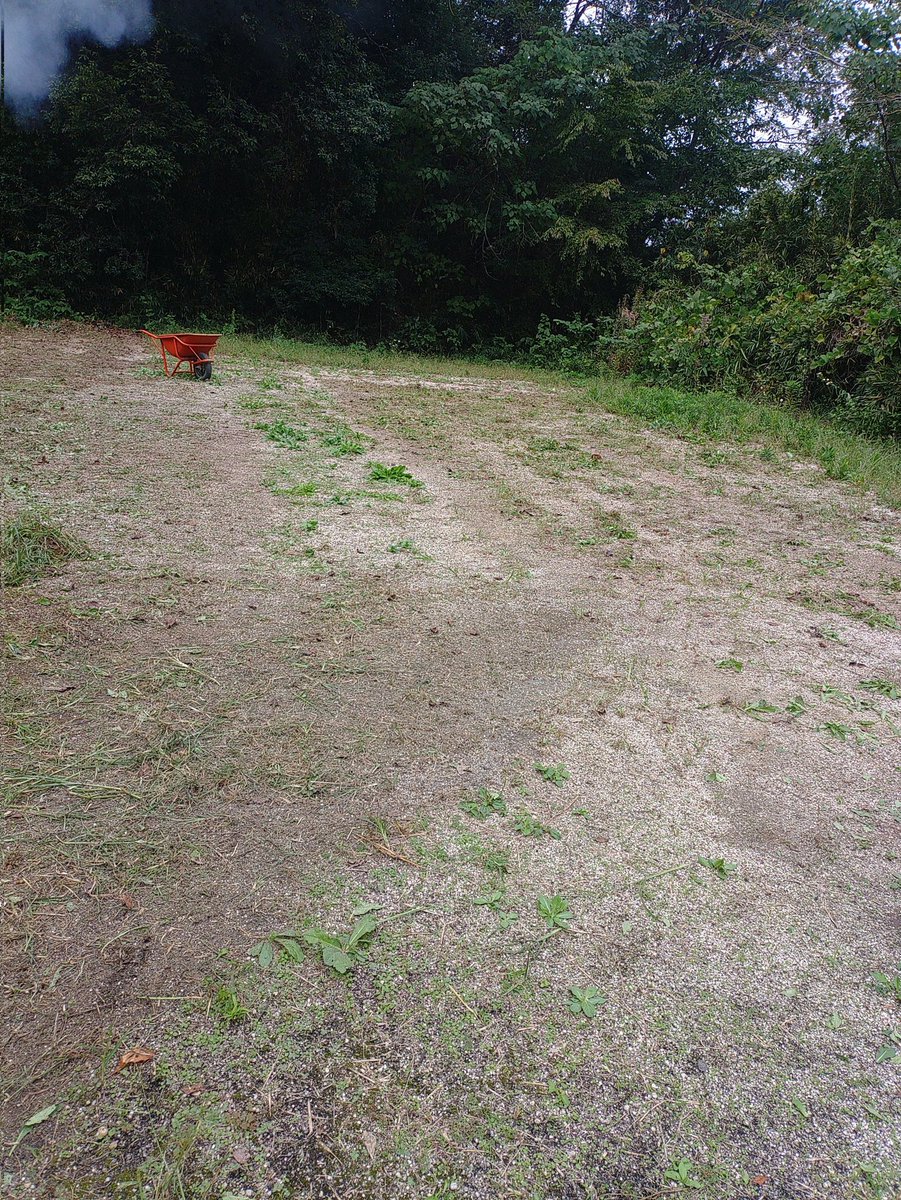BaseSatte's tweet photo. 今月からフィールド再開するにあたり、夏の間に草がモサモサ生えてきたのを何回か退治したのですが、今日、最終的に綺麗にしてます
19日の日曜日は定例会をします。お天気に恵まれますように!
#サバゲー
#サバイバルゲーム
#定例会 https://t.co/c2gWthCLqg