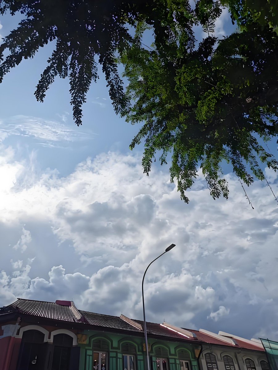 eterjdlc's tweet image. 날씨가 참 예쁘네요 🌸