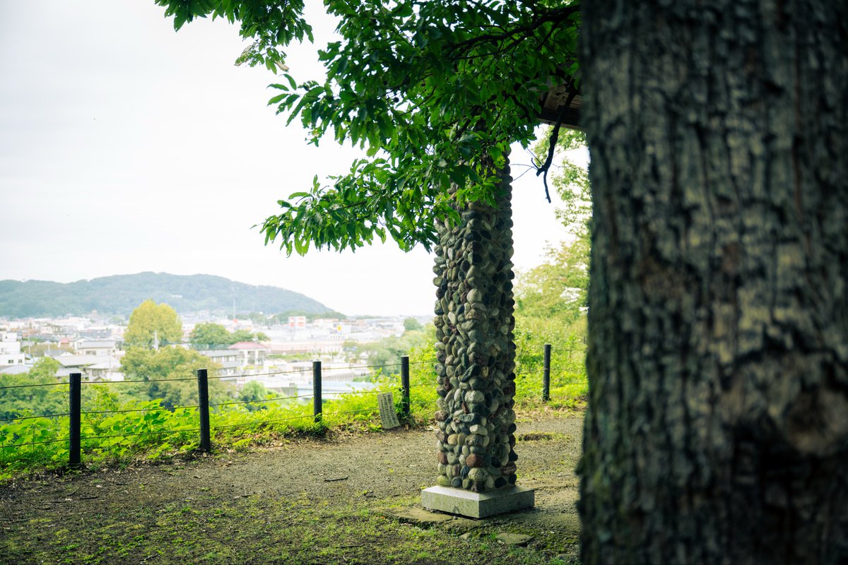 6×9=54 外観から観た有頂天史 人生ソノシート付き 埼玉県寄居町 on X