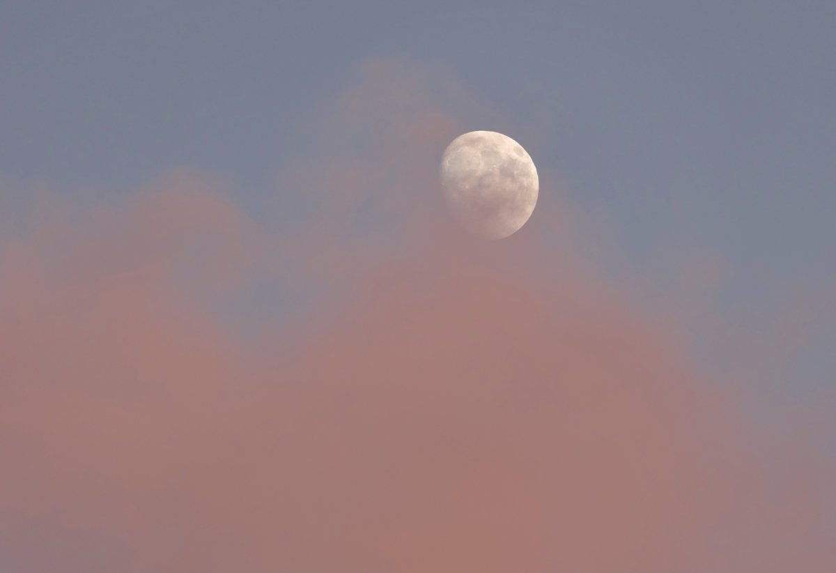 Leslie64993617's tweet image. Moon rising in a pink sky just now. ✌🏻