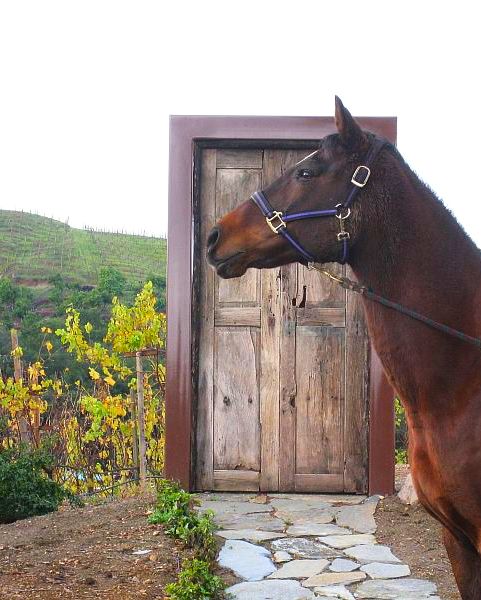 Let us keep our imaginations open... There are doors leading to places we never thought possible...