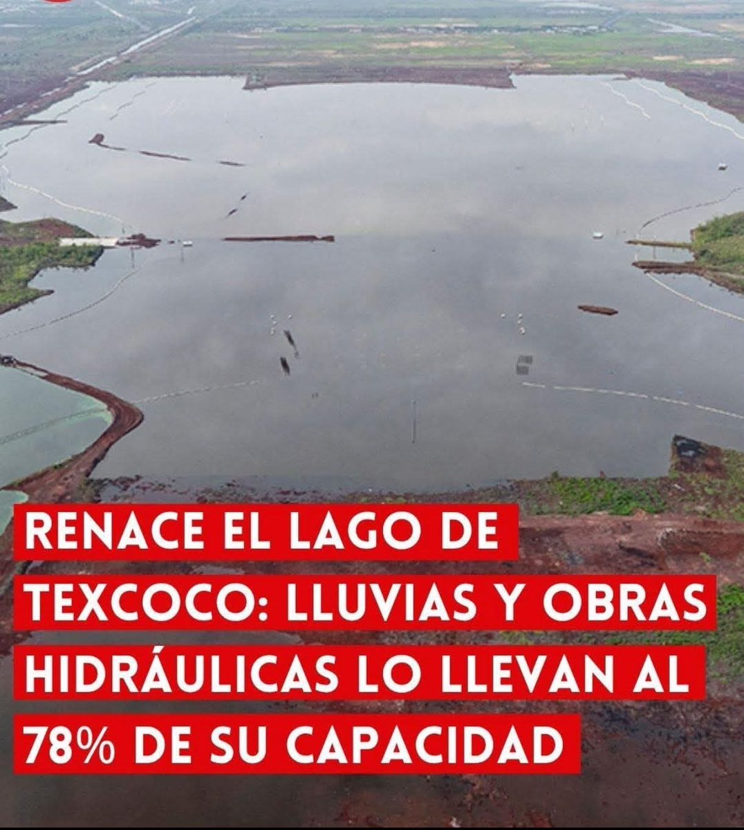 Un aeropuerto aquí iba a ser el peor proyecto en la historia del mundo.