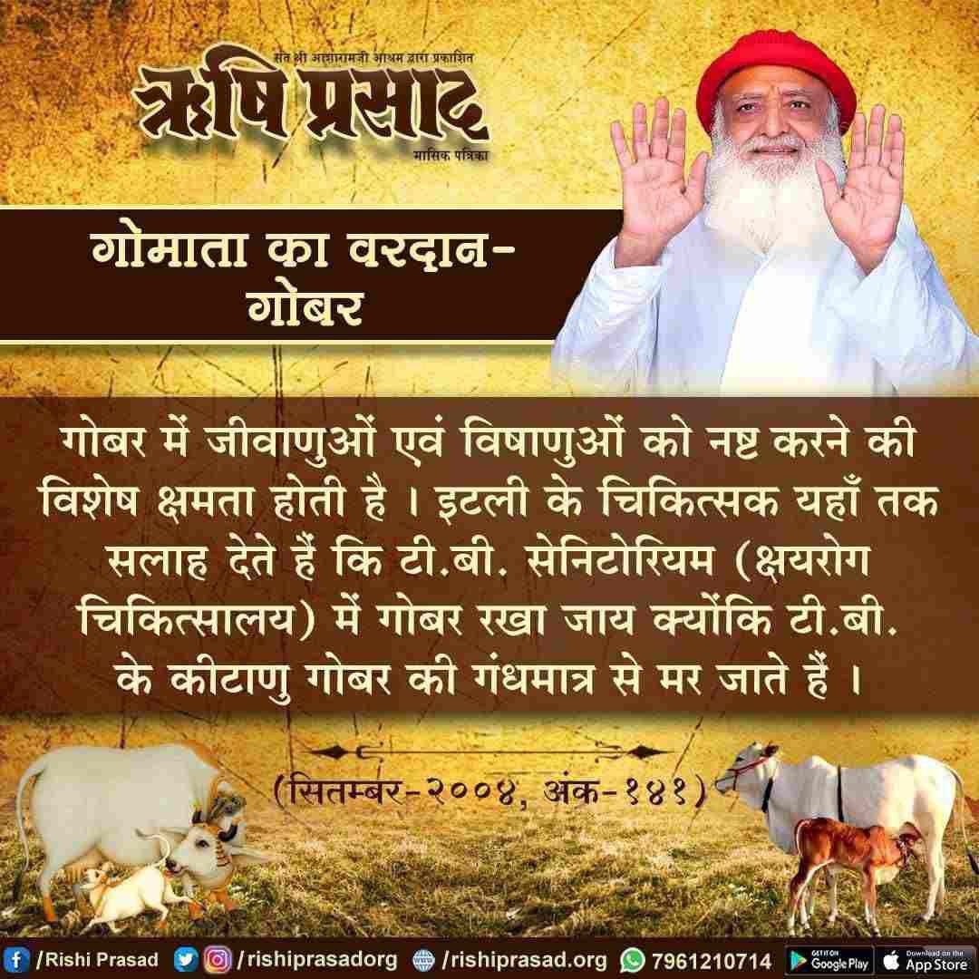 #SanatanDharm में #गौमाता के गोबर से घर में लीपण करने की परम्परा रही है। 
आज भी कोई भी धार्मिक अनुष्ठान या यज्ञ आदि होना होता है तो उस जगह को गोबर से लिपा जाता है, क्योंकि देसी #गौमाता के गोबर में जीवाणुओं एवं विषाणुओं को नष्ट करने की विशेष क्षमता होती है।

#SaveDesiCow