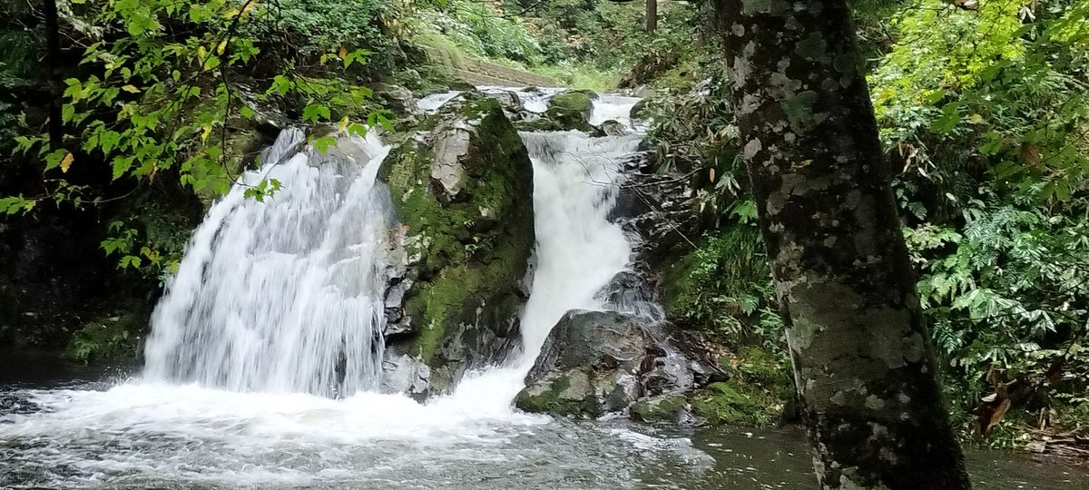 岡山県新庄村の女滝です、天気が悪く薄暗いですが綺麗です