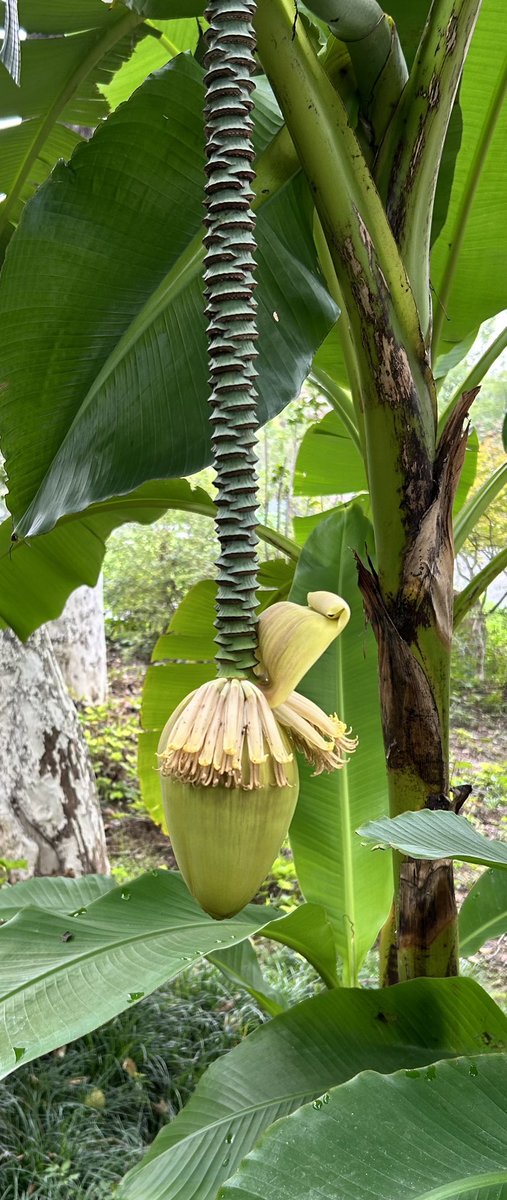 Stuart Blaney tweet media