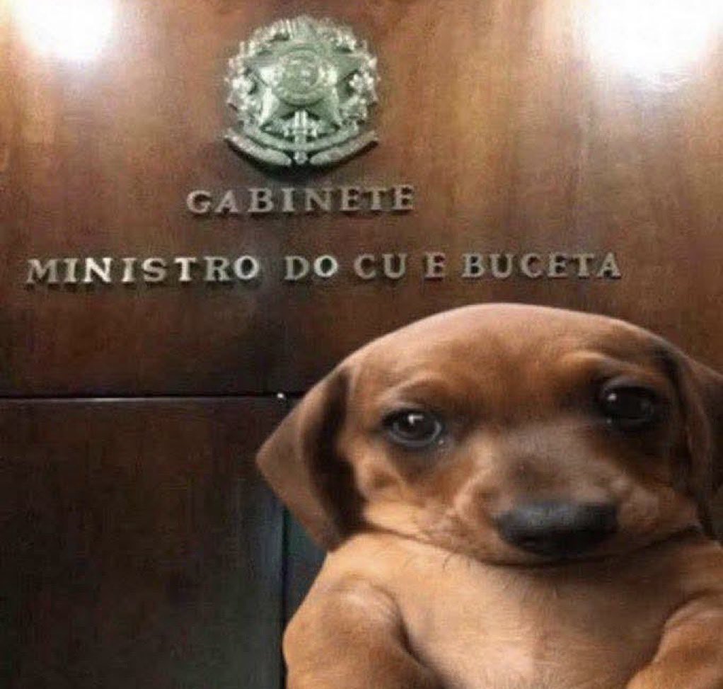 durtvoid's tweet image. 