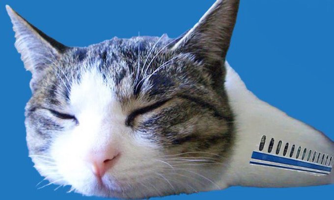 にゃぱねっと♂ on X