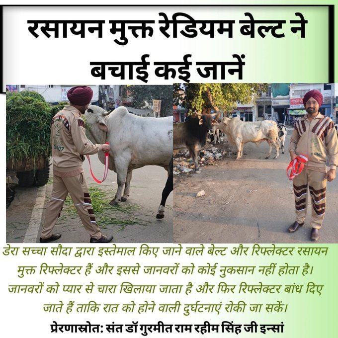 Saint Gurmeet Ram Rahim  जी की प्रेरणा से डेरा सच्चा सौदा के सेवादार बेजुबान जानवरों के लिए हरे चारे, साफ पानी और सुरक्षित स्थान की व्यवस्था करते हैं। इतना ही नहीं जब भी कोई जानवर घायल हो जाता है तो स्वयंसेवक उनका इलाज और देखभाल भी करते हैं ताकि वे स्वस्थ हो सकें। #BeKind