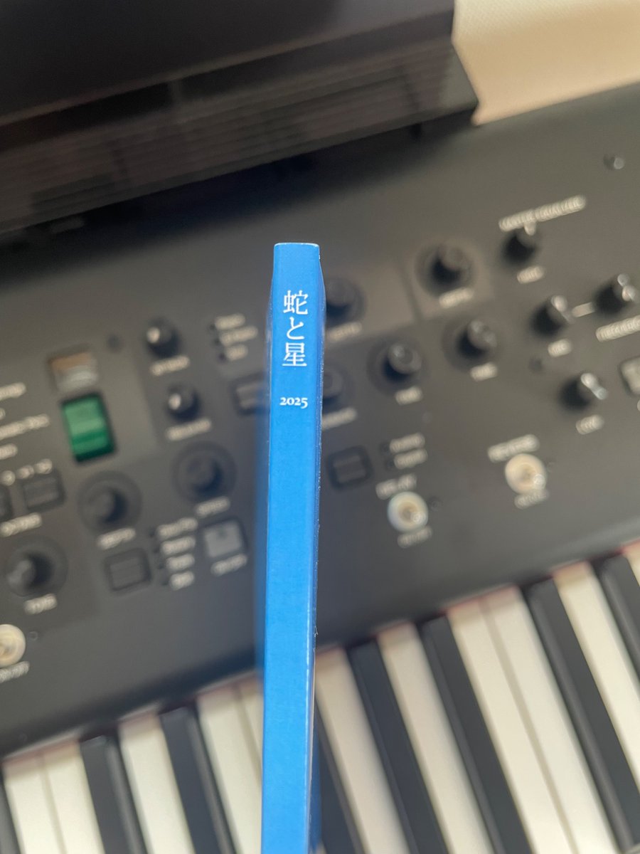 詩誌『蛇と星 2025』刊行します！
11/23（日）文学フリマ東京に出展予定。
結成から四年、念願叶って本ができます。ゲストも迎えていつものネットプリントより賑やかです。
画像は試し刷りの一冊。
よろしくお願いします。
（大島）