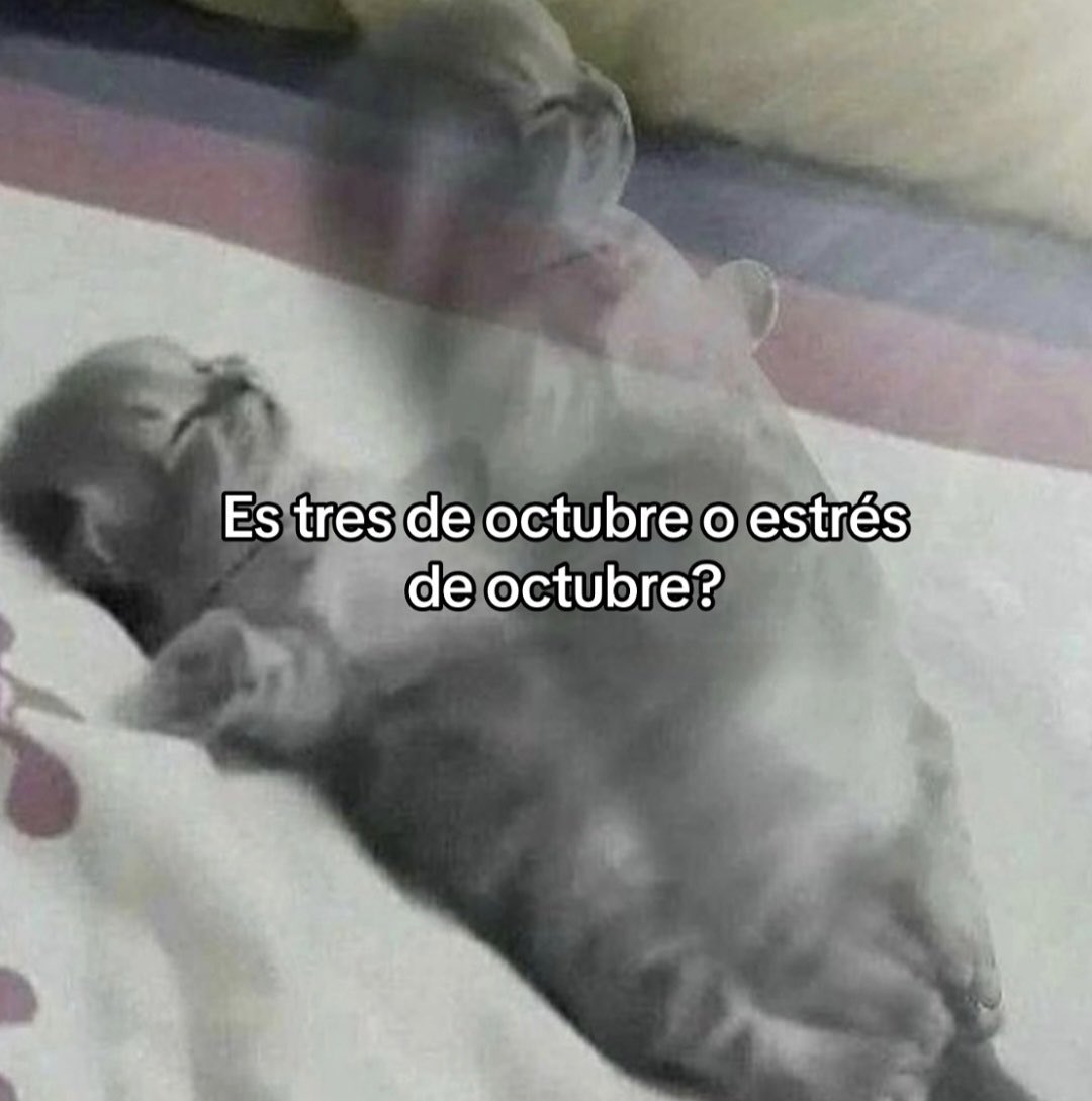 Mañana empiezo a dar un nuevo curso en un posgrado, es una asignatura que me encanta pero no es mi fuerte. Además las sesiones son de 8am a 2pm, sábados y domingos.