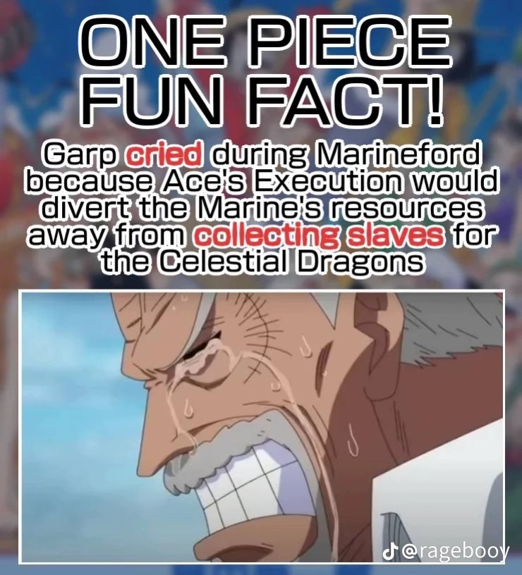 JakeyWakey 🇵🇸 tweet media