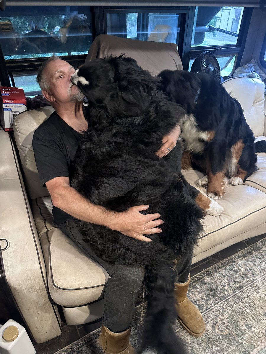MikeChritton's tweet image. Lap Dog!