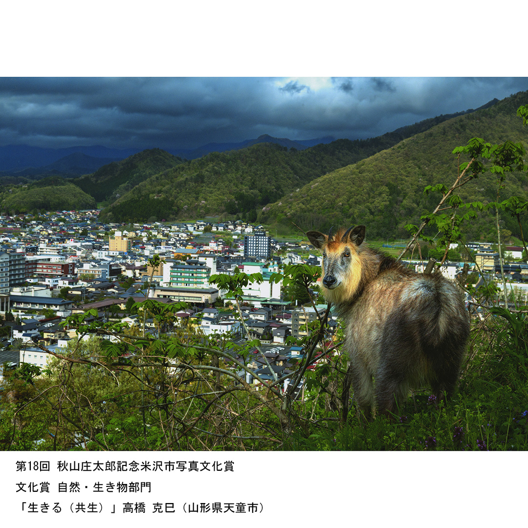 秋山庄太郎写真芸術館 (@shotaro_akiyama) / X