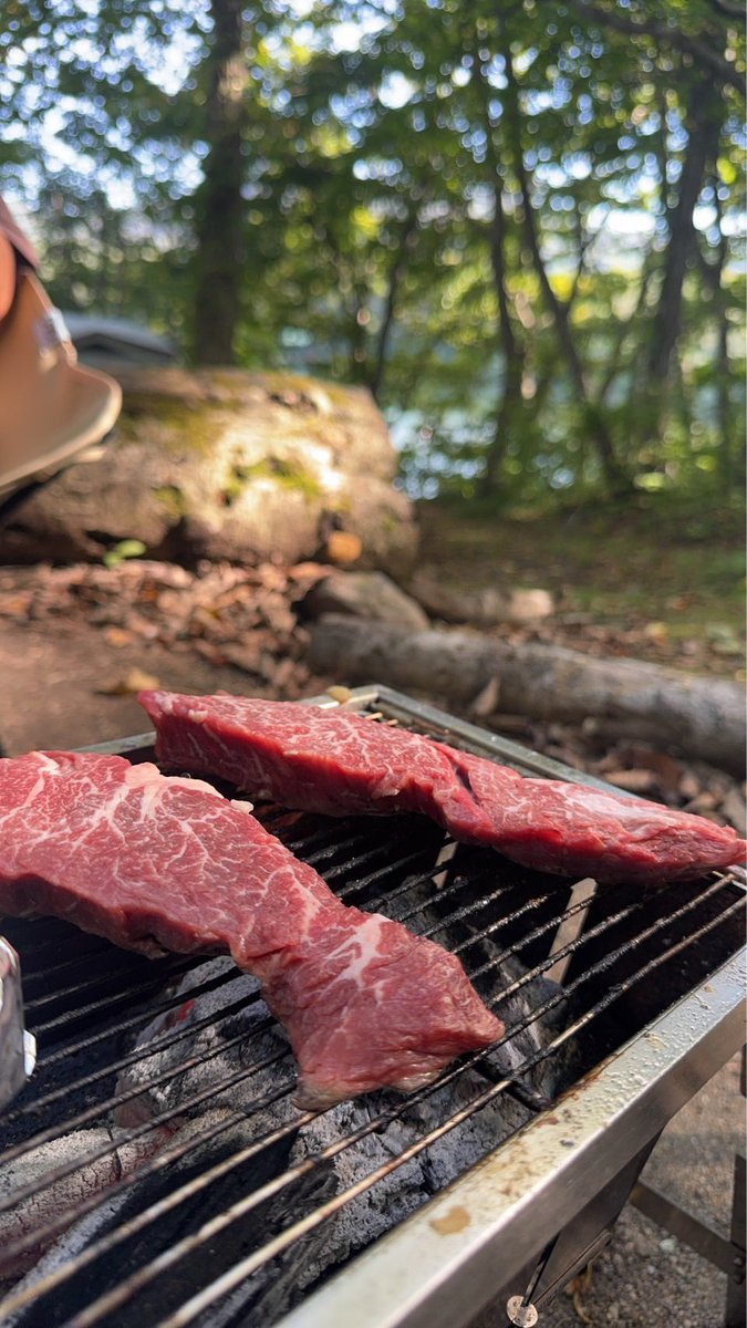 camp____camp's tweet photo. 肉を喰らう🍖 https://t.co/jl0QFsGNvl