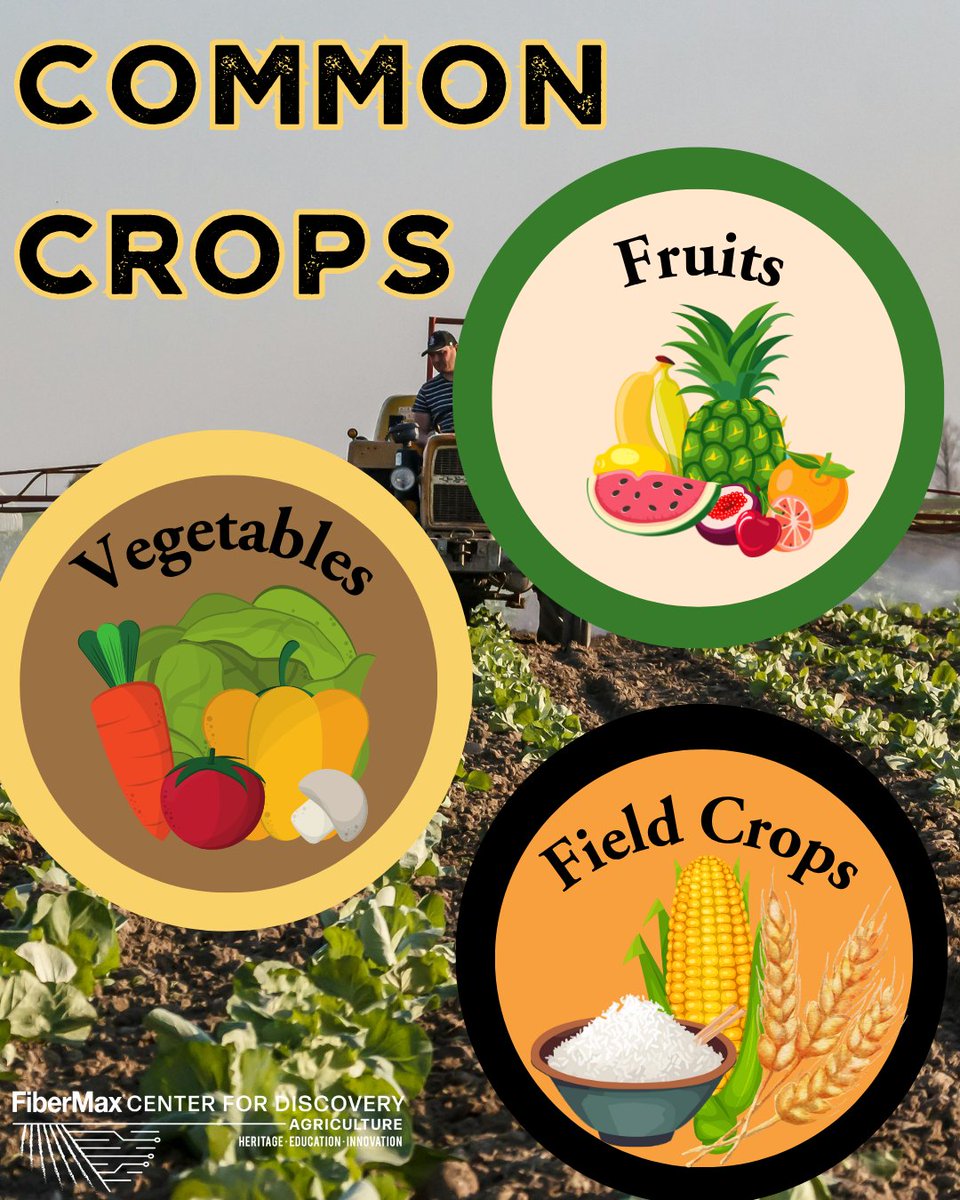 FiberMaxCenter's tweet image. Feed the soil, and the soil feeds the crop. Organic fertilizers build strong roots, healthier plants, and better yields. Happy #farmerfriday! 🚜🌱🌍🌾

#FCFD #ageduction #lubbockTX
#Agriculture #farming