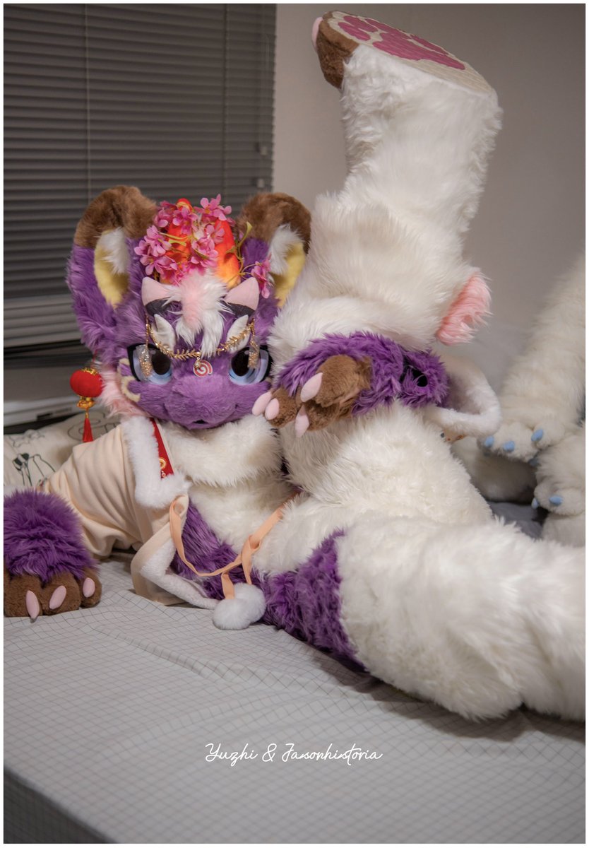 Yuzhi与纸 tweet media