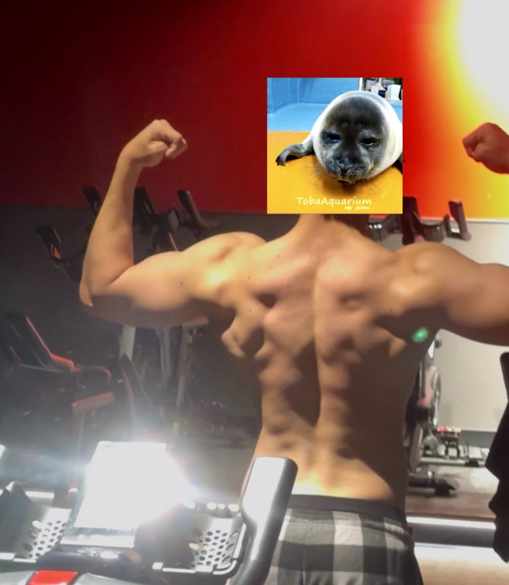 grindgod26's tweet photo. Niko says ough workout #sealtwt #gympics https://t.co/FF4R9y3ZuR