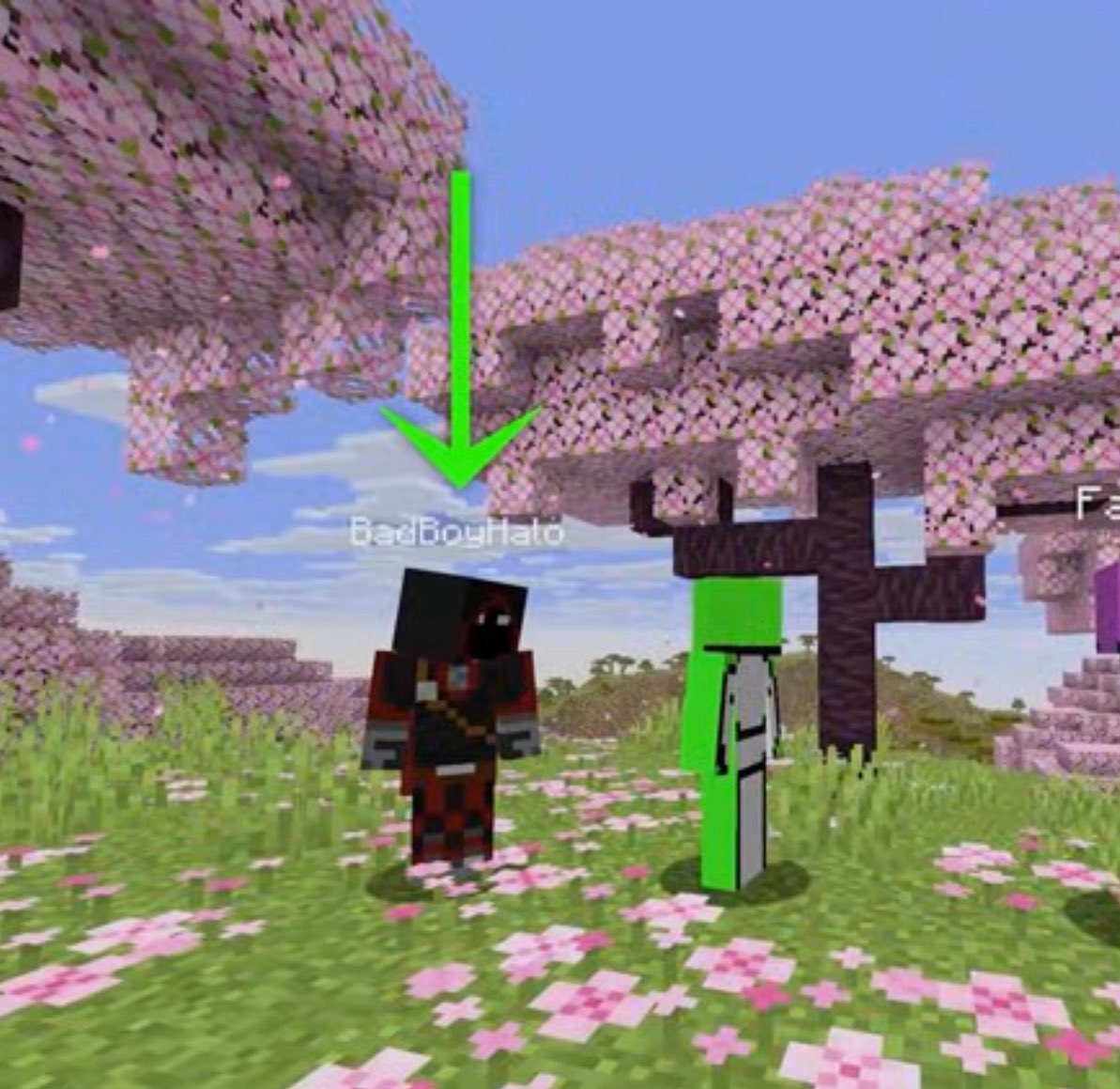 dweaminbasement's tweet photo. badboyhalo is so kind for being in a youtube video of this green skinned small minecraft youtuber https://t.co/gL0T1N3hqs