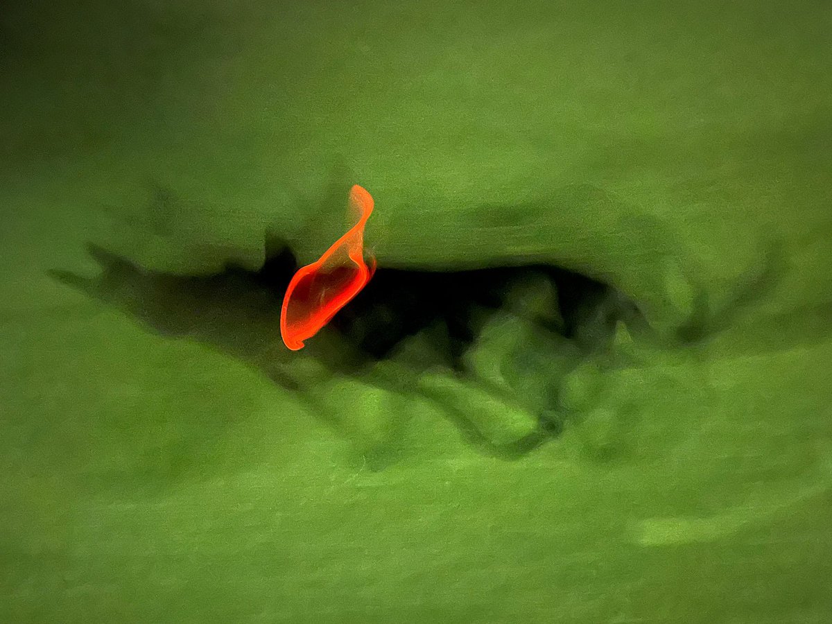 John Stortz tweet media