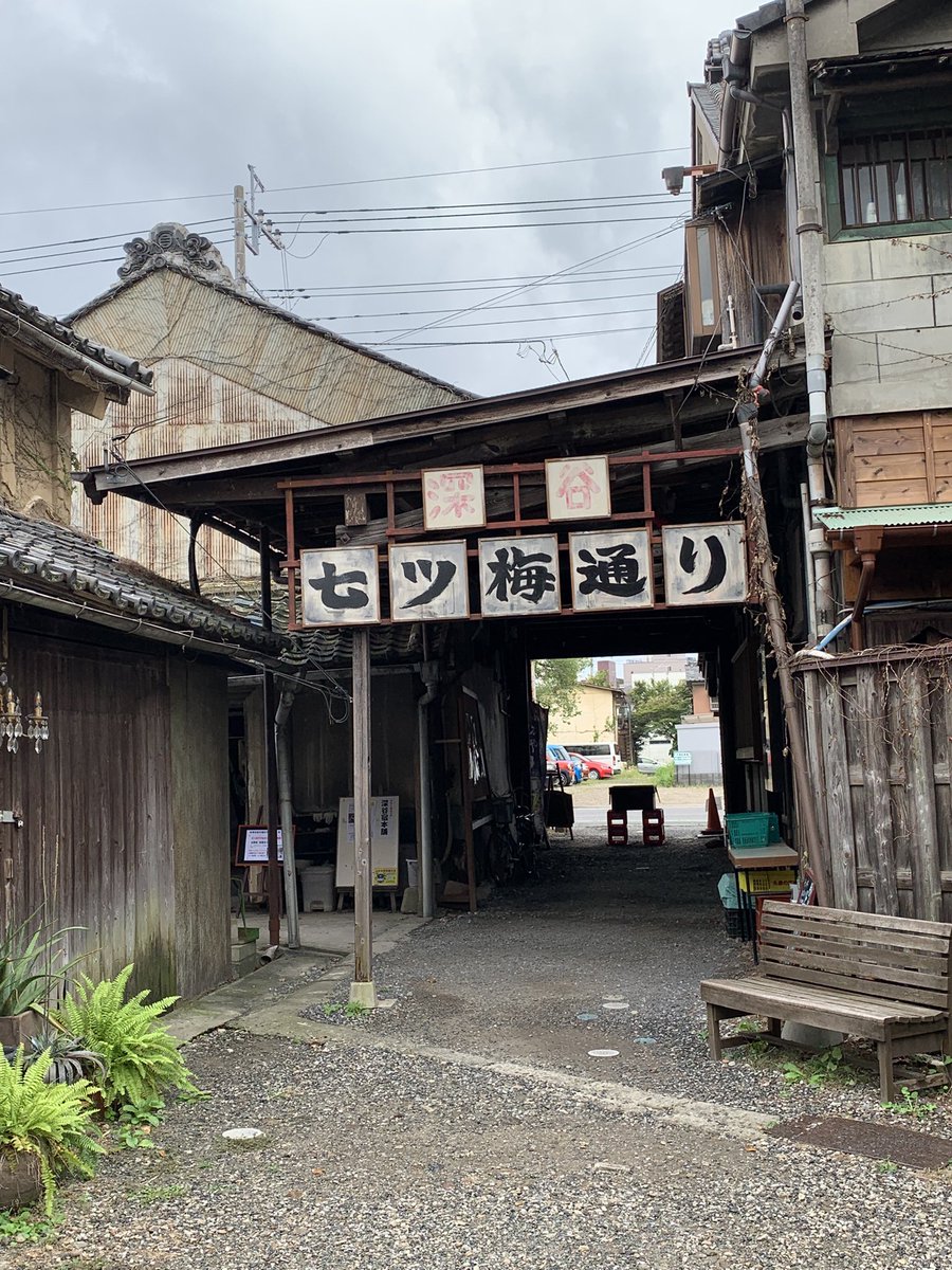 Antic_pets's tweet photo. 今日は深谷で展示中‼️ https://t.co/nVUtqe0l8G