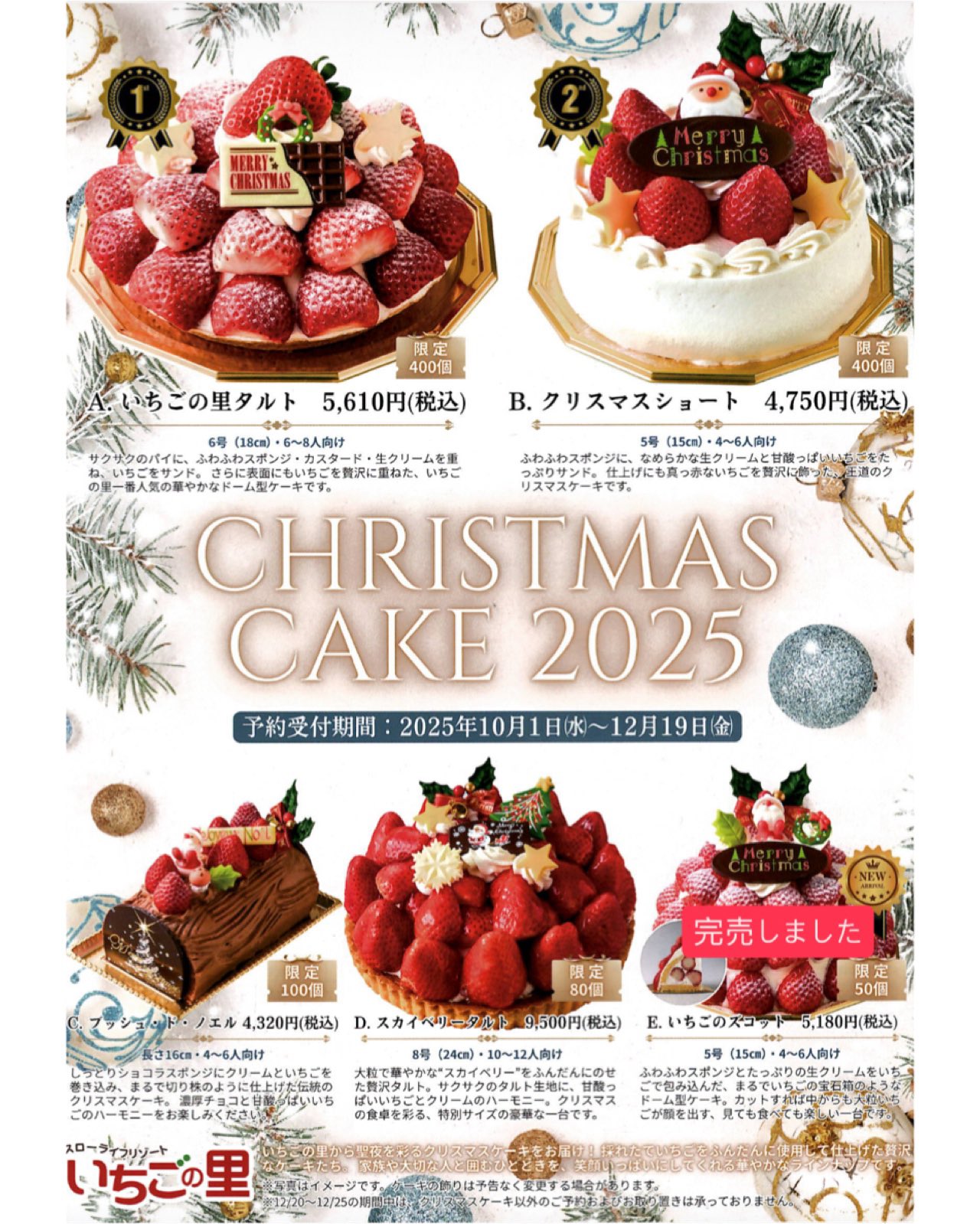 いちご　1204040 クリスマス限定SALE この時期ならではのお楽しみ！2024年3月1日(金)より“フレッシュ