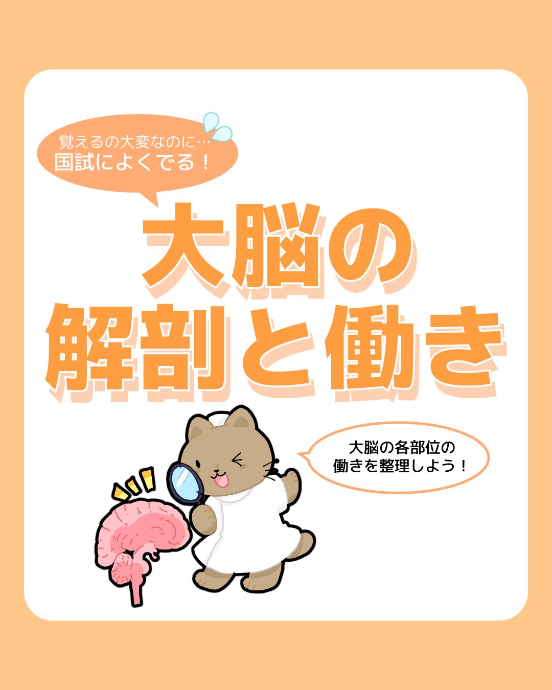 最終値下げ‼️メディックメディア模試 114th 2024 3rd メディックメディア 看護教員向けサイト