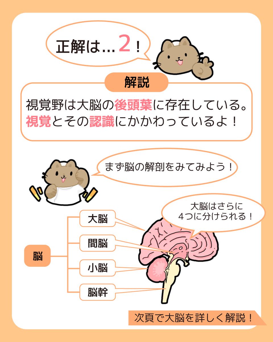 最終値下げ‼️メディックメディア模試 114th 2024 3rd 最終値下げ‼️メディックメディア模試 114th 2024 3rd