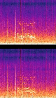 is that a fucking carousel