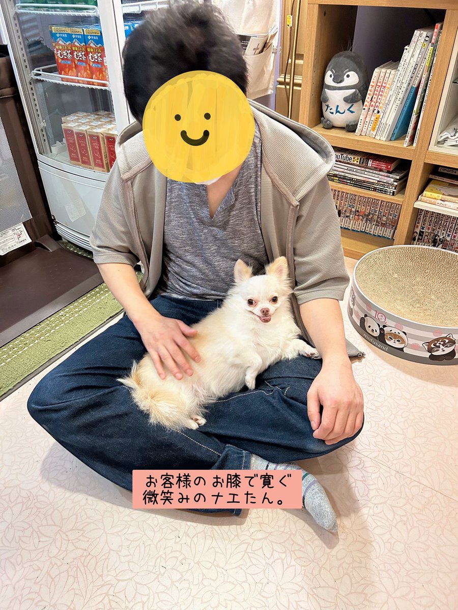 龍脈の精髄 クラスター 魂を浄化しご縁を結ぶ 売上一部保護猫活動に使用 kuu (@kuu05neko) / X