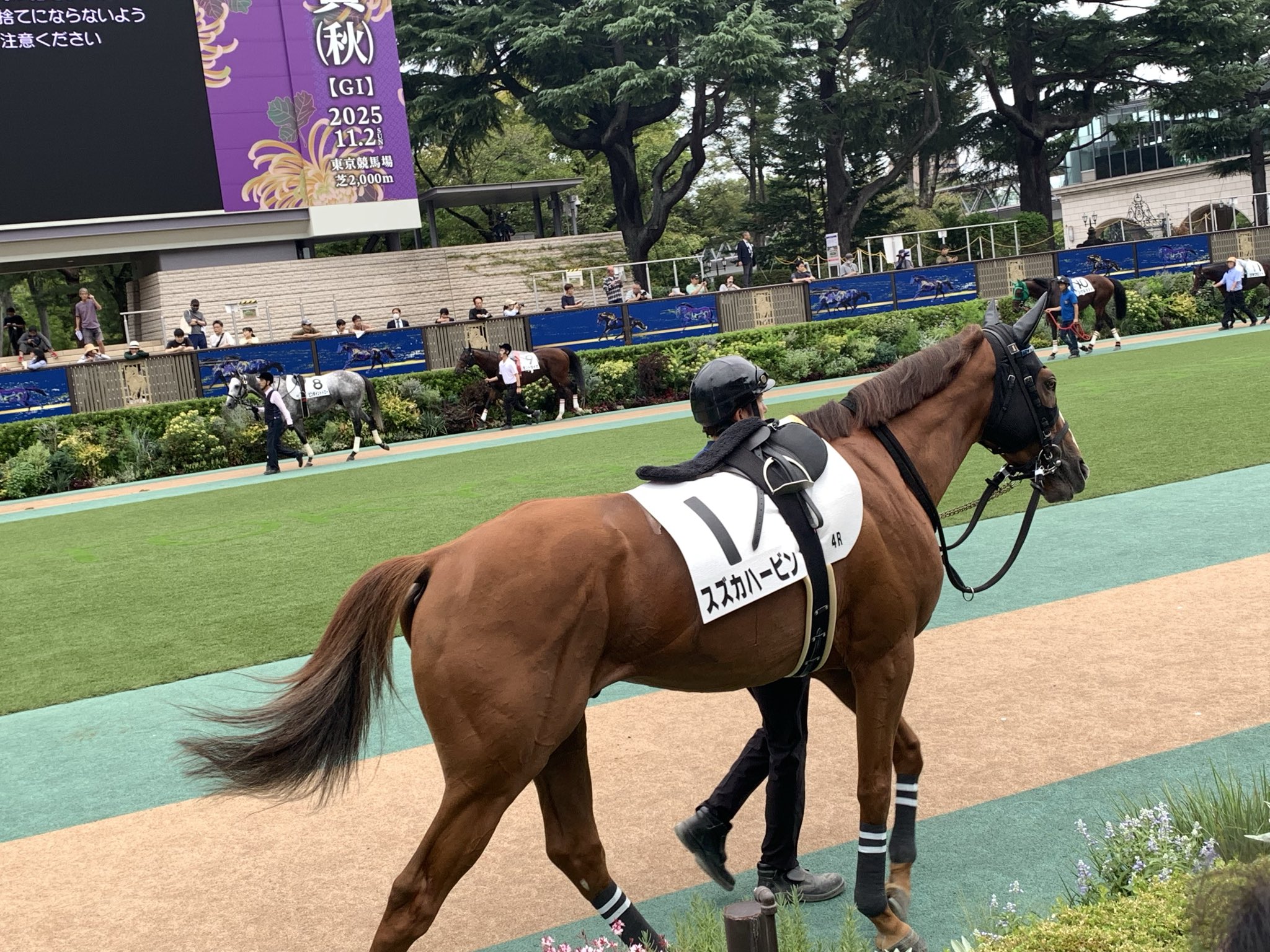 競馬 名馬 大きいパネル^o^ 6億円で0戦0勝」の馬も…セレクトセール“高額落札馬は走らない”は