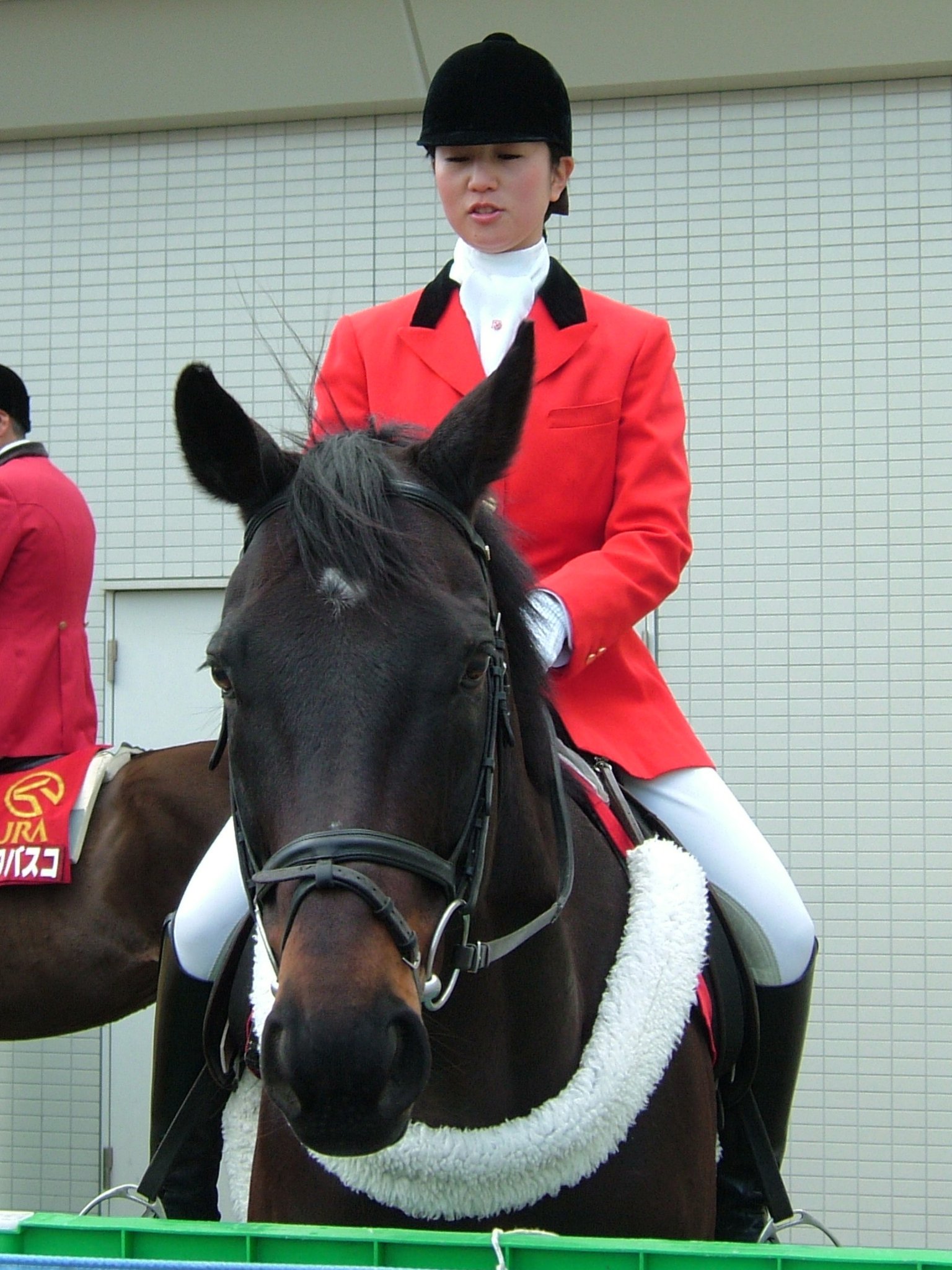 競馬のゼッケン　ツルマルツヨシ 功労馬 | ツルマルツヨシ