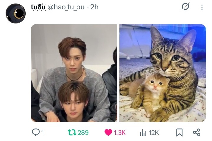 ALD1_fess's tweet photo. ald1! sender sedih, ada yg ngeship haoxin as lover ya? TT padahal mereka itu brotherhood banget family, ibarat anak kucing dan ibunya sedekat itulah haoxin 🥹🫂 https://t.co/JfknUiD2cg