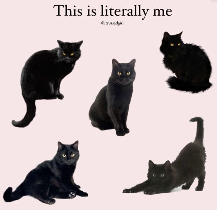 🖤