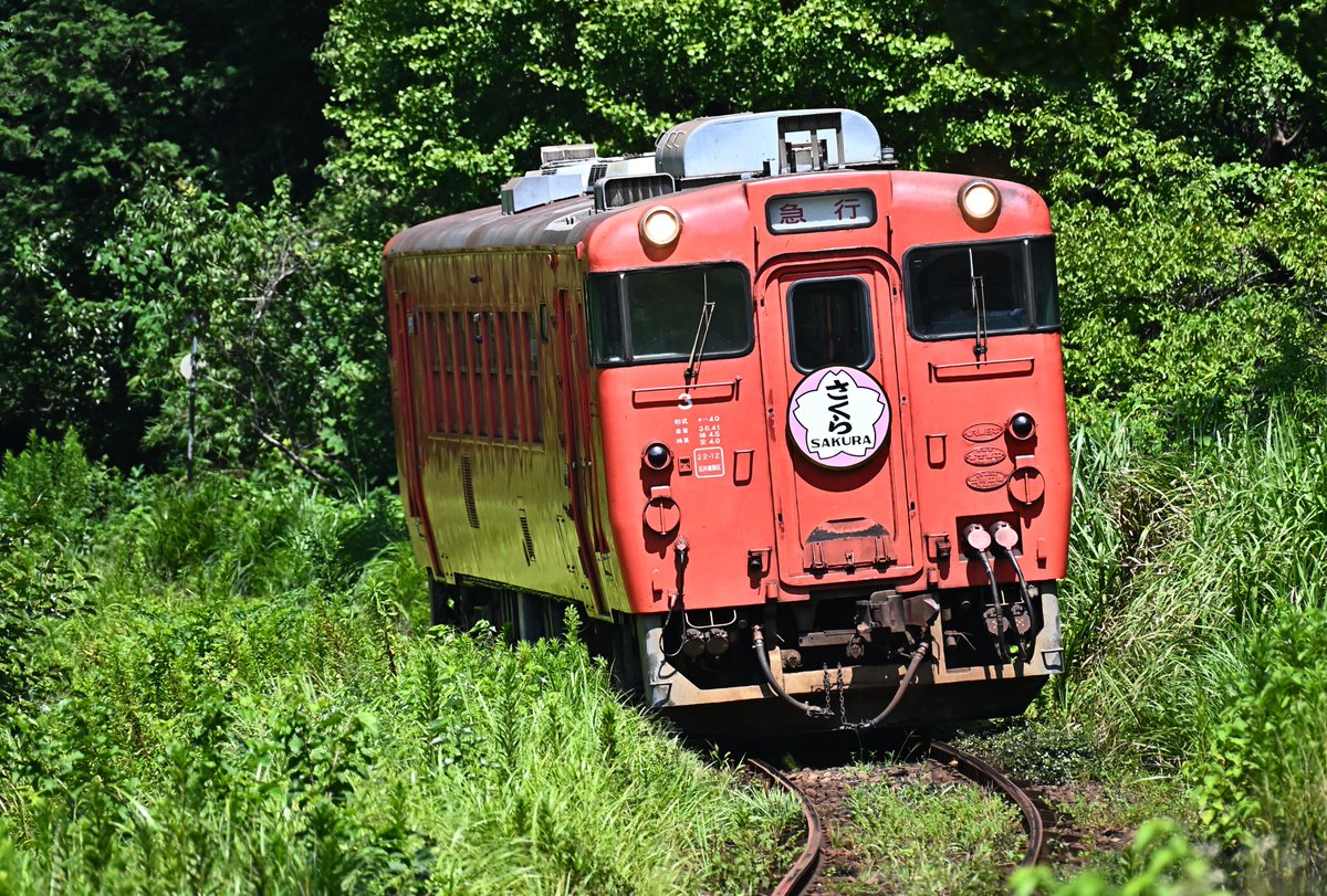 ❤️動作品❤️大量SLセット★７両★c581★c62 3号車★スハシ441 ❤️動作品❤️大量SLセット☆7両☆c581☆c62 3号車