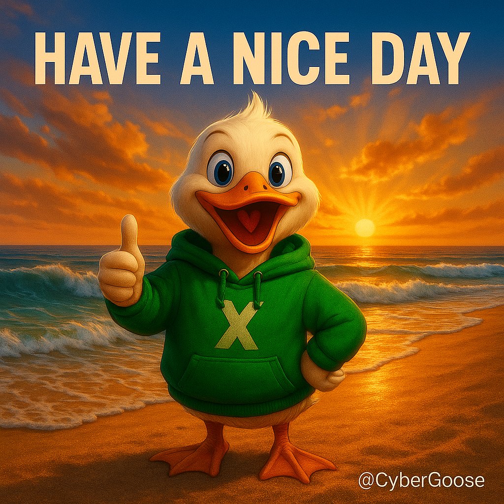 𝘾𝙮𝙗𝙚𝙧 𝙂𝙤𝙤𝙨𝙚 🪿 tweet media