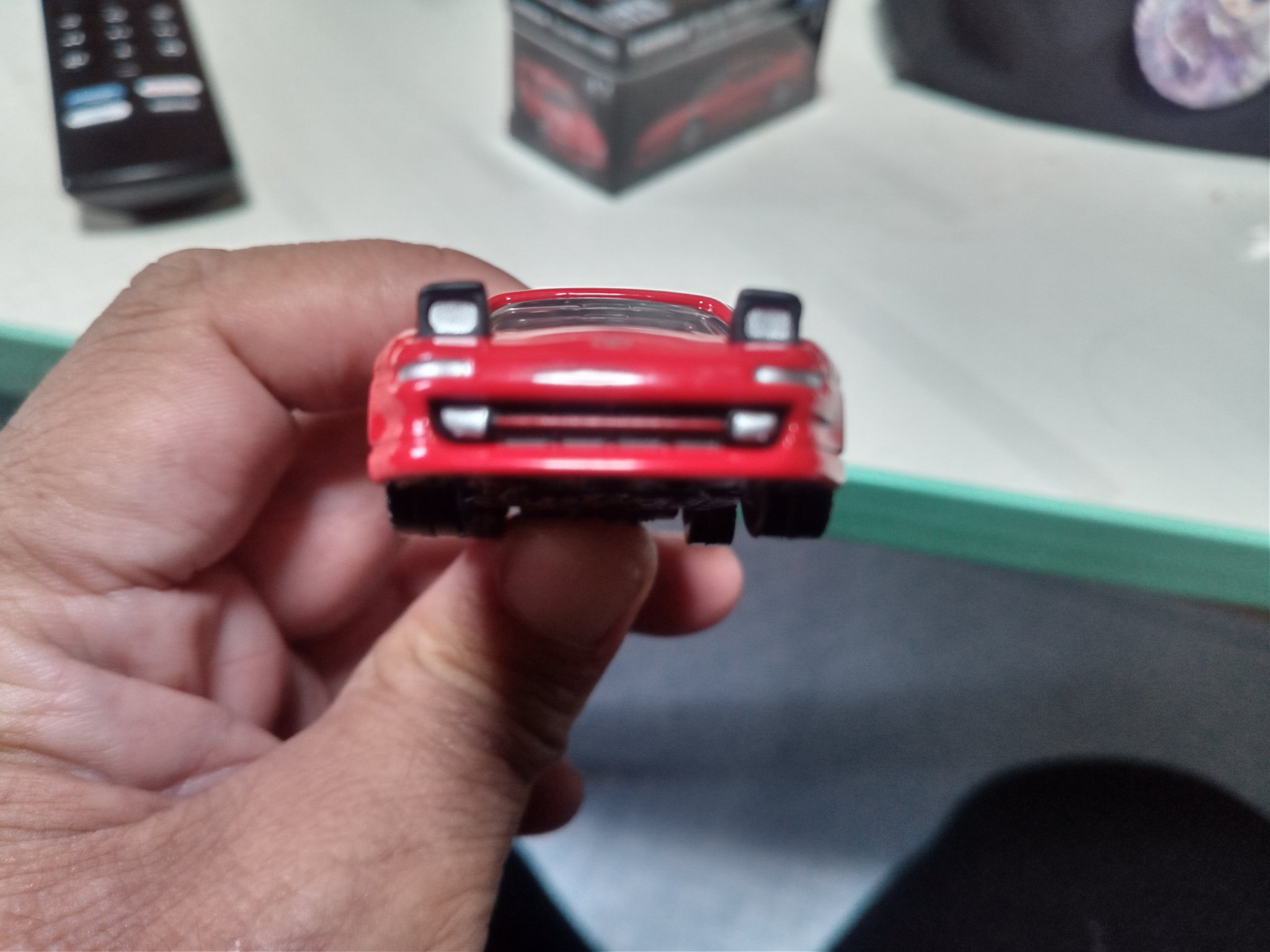 知立最速のリクガメ on X: 