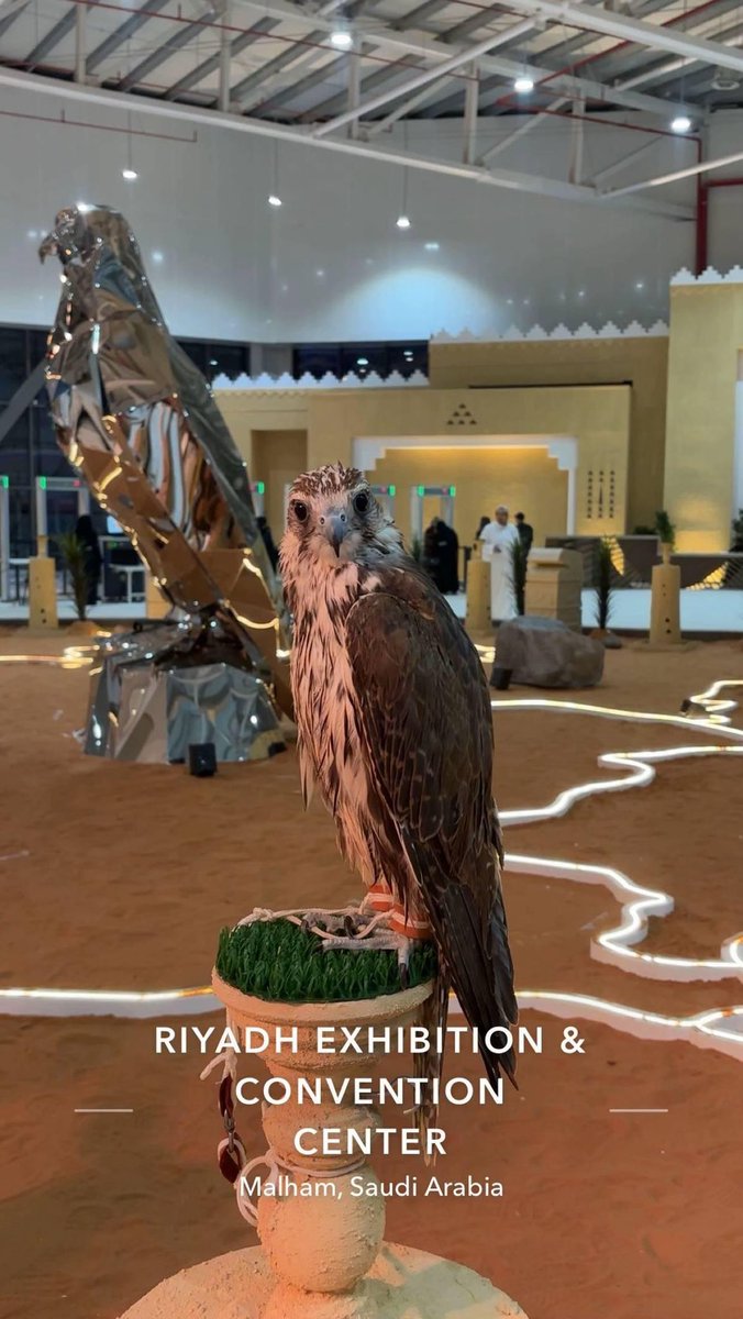 rashed_almasrdi's tweet image. ✨🦅 معرض الصقور والصيد السعودي الدولي 2025 ✨

🔹 الوعد قرّب.. للحدث الأضخم من نوعه في العالم
تحت شعار “عالم يشبهك”، تستعد الرياض لاحتضان النسخة الأضخم من المعرض، الذي يجمع عشاق الصقور والصيد والمغامرات من داخل المملكة وخارجها.
@aziz1986sa @SFC_ISFHE @tshamaisi