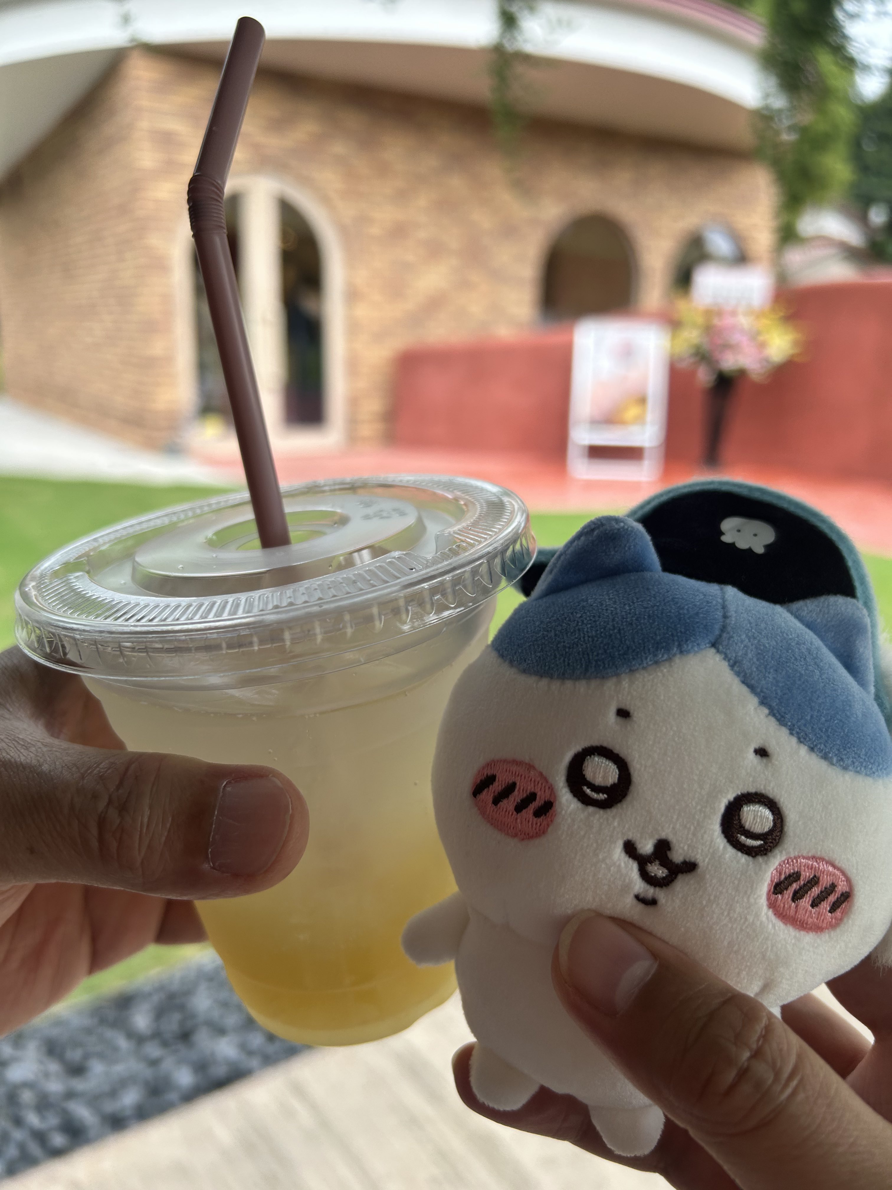 カメコ (@kameco713) / X