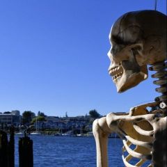 GroupPenner's tweet image. Penner Group Properties Newsletter and Activities Planner - Oct 3-10, 2025

What are the odds of winning a marathon while being chased by Halloween horrors??

tinyurl.com/PGP-Newsletter…

#PennerGroupProperties #PortlandWeekendPlanner #PortlandRealtor #MovingToPortland