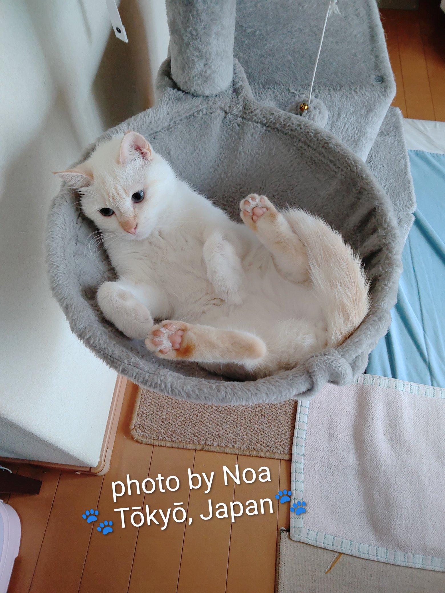 noa♡ Noa (@Noa126) / X