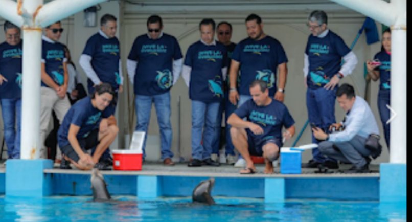 En este estado sí hay ladrones.P/Aurelio Contreras rubricacolumna.blogspot.com/2025/10/en-est… <a href="/elrudolph/">El Rudolph... y ya</a> <a href="/JM_Phone_Home/">JM</a> <a href="/jsmjarochov/">Jaime Sanchez M.</a> <a href="/lulu_reportera/">Lulú reportera🚴‍♀️</a> <a href="/YordiMX/">YordiMX 🇲🇽</a> <a href="/nmeza14/">Jarocha orgullosa</a> <a href="/RPlebeyo/">El Papa Nicolaou</a> <a href="/Fabiofuentesn/">🇲🇽Fabio Fuentes Navarr</a> <a href="/EsmeraldaAdler/">Esme</a> <a href="/jltm68/">Jorge L TorresMarcos</a> <a href="/ral_uv/">Raúl Arias Lovillo</a> <a href="/celiadelp/">Celia del Palacio</a> <a href="/jorgeflores1mx/">Jorge Flores</a> <a href="/juancastillo_07/">JCDLS</a> <a href="/orazioaguirre/">orazio aguirre</a> <a href="/juanalfonsomar2/">Juan Alfonso</a>